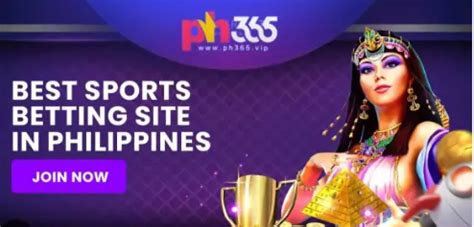 php365