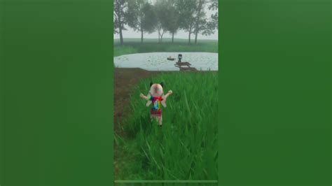 rirbx