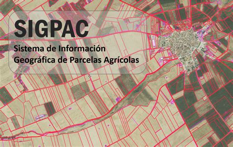 sygpec