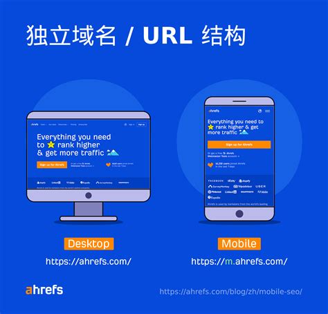 url：www.labet8.com