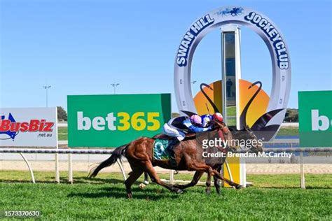zedbet365